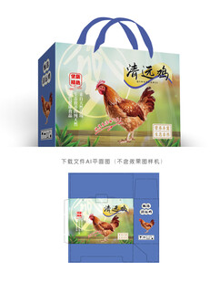 清远鸡设计