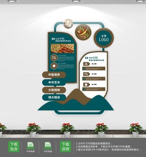 中医院文化墙
