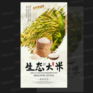 大米