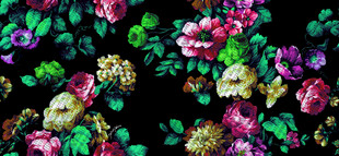 玫瑰花