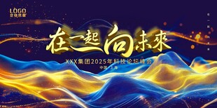 会议背景