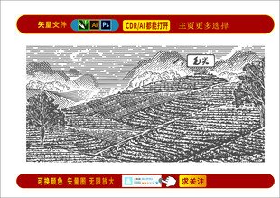 茶叶包装茶叶基地线条插画