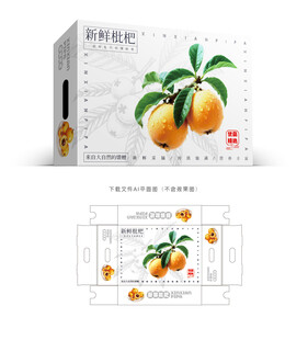 枇杷设计