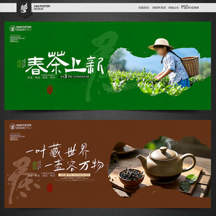 春茶