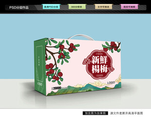 杨梅礼盒