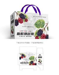 桑葚礼盒 