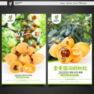枇杷