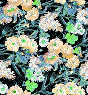 玫瑰花