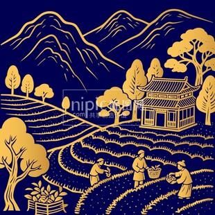 线描茶园茶叶场景