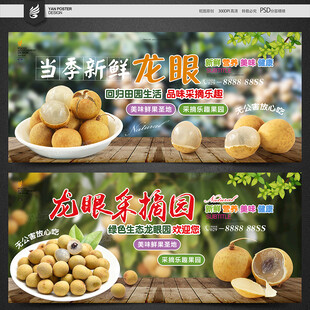 龙眼海报