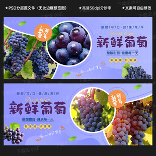 葡萄海报