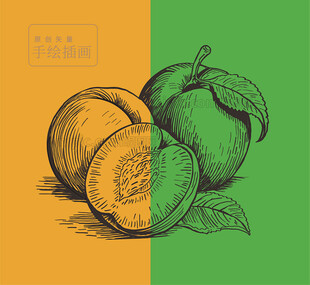手绘桃子线稿图