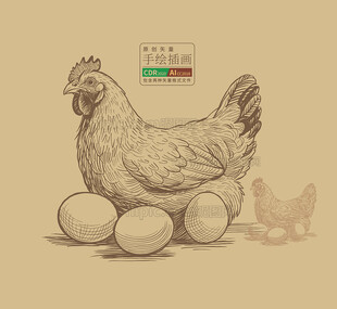 老母鸡土鸡蛋手绘矢量图