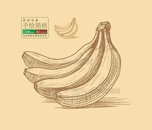 手绘矢量香蕉
