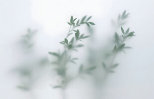 雾气磨砂膜效果绿植贴图