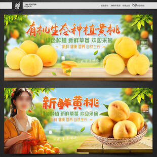 黄桃