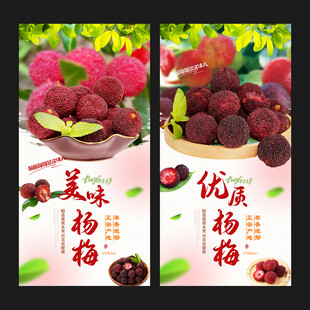 杨梅