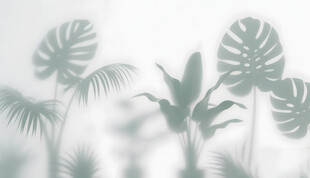 雾气磨砂膜效果绿植贴图