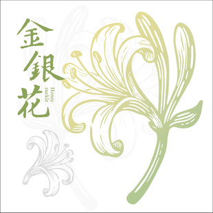 手绘金银花图案设计