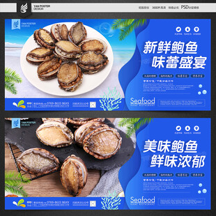 新鲜鲍鱼