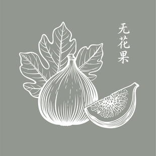 手绘无花果图案设计