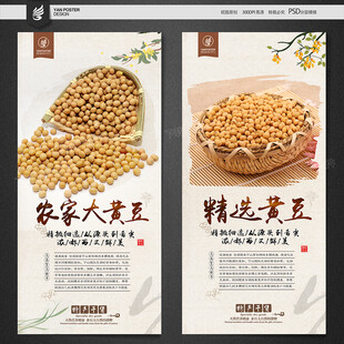 大豆