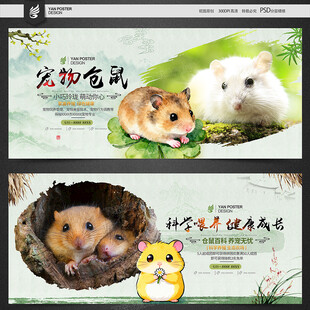 仓鼠