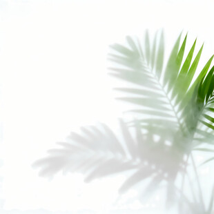 雾气磨砂膜效果绿植贴图