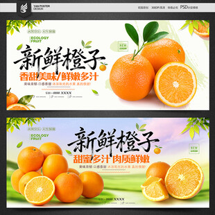 橙子海报