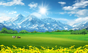 蓝天白云大草原