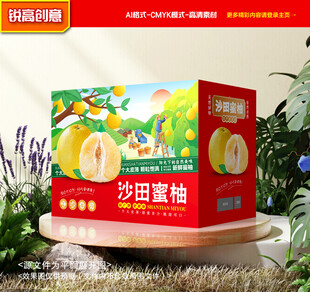 柚子包装 蜜柚礼盒