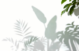 雾气磨砂膜效果绿植贴图