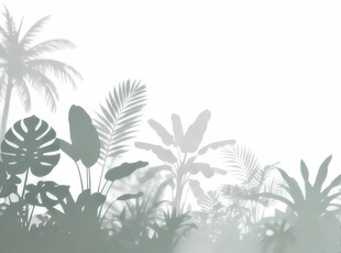 雾气磨砂膜效果绿植贴图