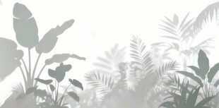 雾气磨砂膜效果绿植贴图