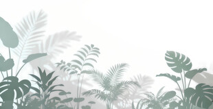 雾气磨砂膜效果绿植贴图