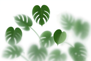 雾气磨砂膜效果绿植贴图 