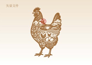 手绘鸡插画