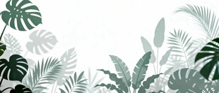 雾气磨砂膜效果绿植贴图