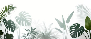 雾气磨砂膜效果绿植贴图