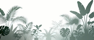 雾气磨砂膜效果绿植贴图