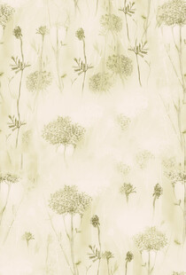 淡雅蒲公英背景图