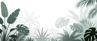 雾气磨砂膜效果绿植贴图