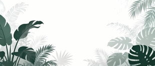 雾气磨砂膜效果绿植贴图