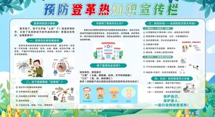 预防登革热宣传栏 