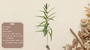 一株草药及其周边药材黄精