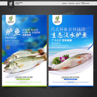 鲈鱼