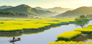 春日河畔油菜田园风光