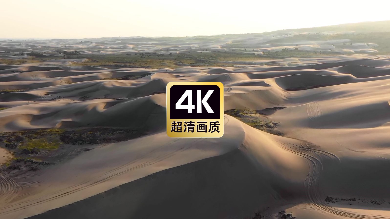 沙漠里飞驰的车队