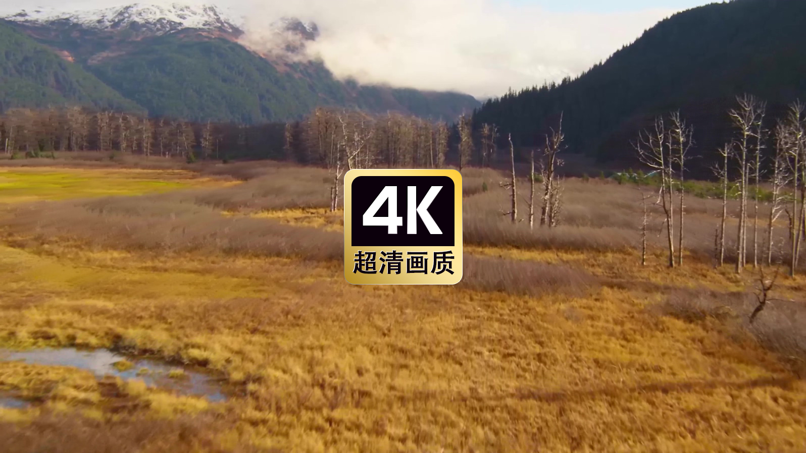 航拍远山草地树木