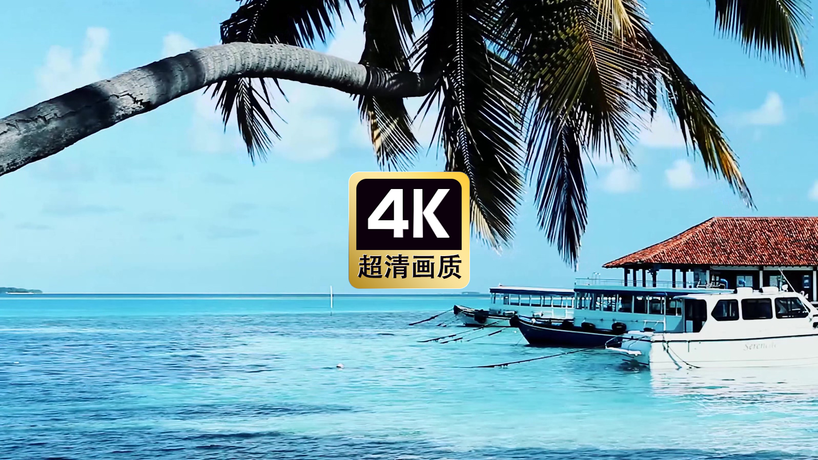 唯美游艇海景椰树